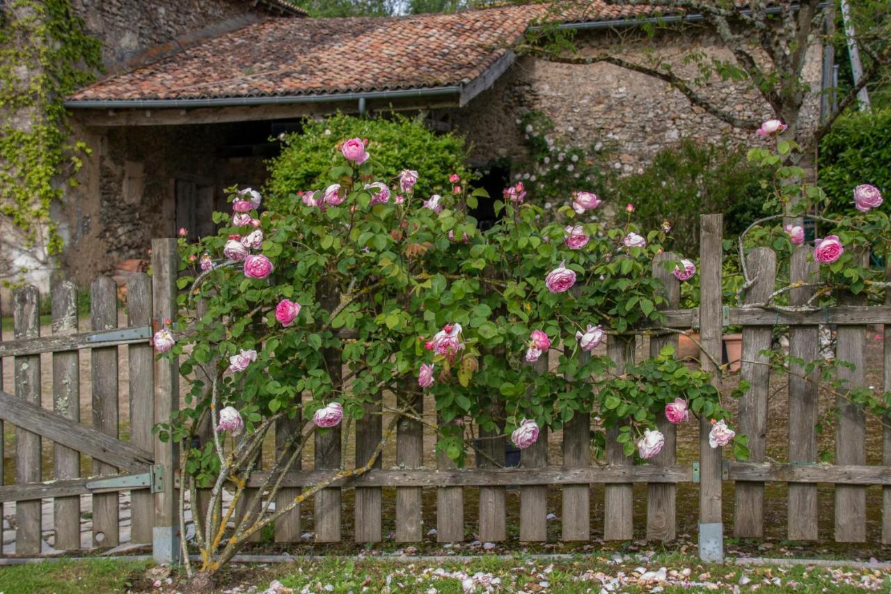 Chambres d'Hôtes La Pocterie Vouneuil-sur-Vienne Exterior foto