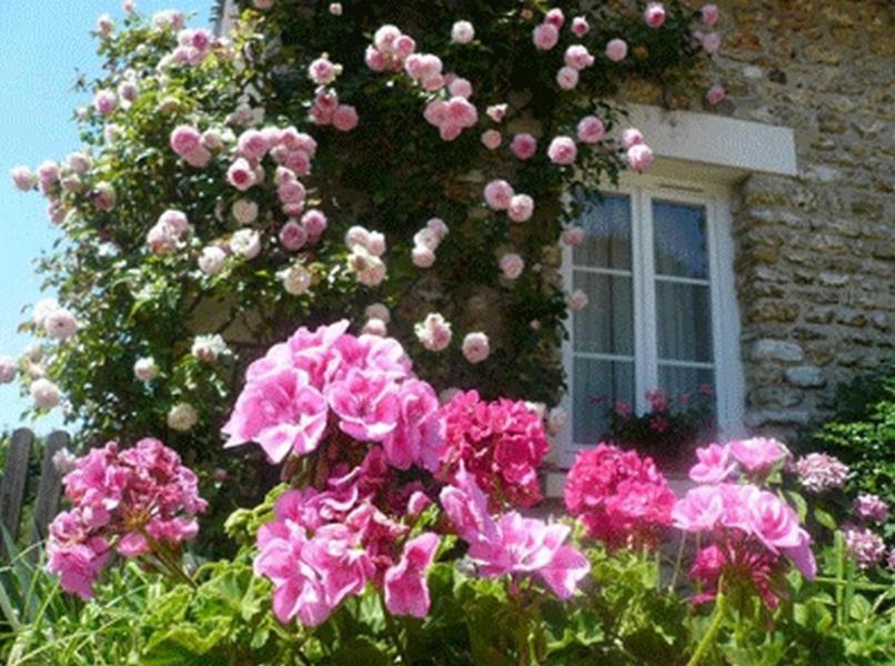 Chambres d'Hôtes La Pocterie Vouneuil-sur-Vienne Exterior foto